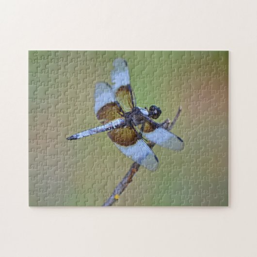Blauwe en Bruine Dragonfly Insect Natuur Puzzel (Horizontaal)