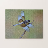 Blauwe en Bruine Dragonfly Insect Natuur Puzzel Legpuzzel (Horizontaal)