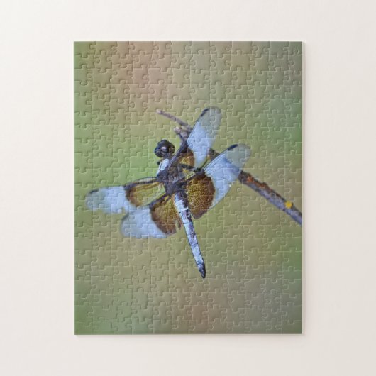 Blauwe en Bruine Dragonfly Insect Natuur Puzzel Legpuzzel (Verticaal)