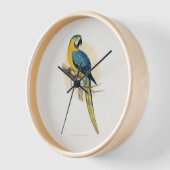 Blauwe en gele ara (Ara ararauna) (Hoek)