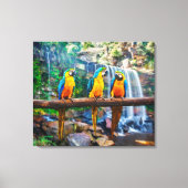 Blauwe en gele ara bij Tropical Waterfall Canvas Afdruk (Voorkant)
