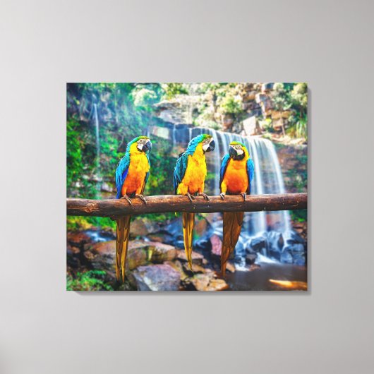 Blauwe en gele ara bij Tropical Waterfall Canvas Afdruk (Voorkant)