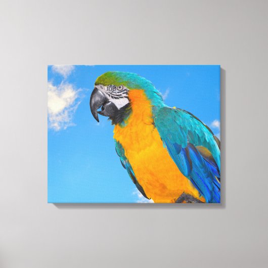 Blauwe en gele ara canvas afdruk (Voorkant)