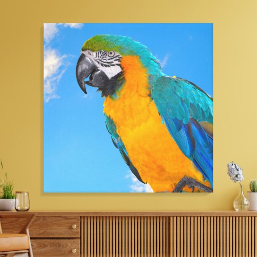 Blauwe en gele ara canvas afdruk (Insitu (Woonkamer))