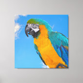 Blauwe en gele ara canvas afdruk (Voorkant)