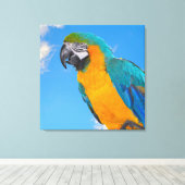 Blauwe en gele ara canvas afdruk (Insitu (Houten vloer))