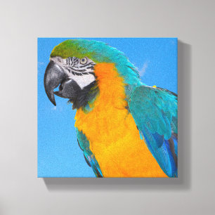 Blauwe en gele ara canvas print