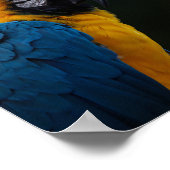 Blauwe en gele ara close-up portret - Parrot Poster (Hoek)