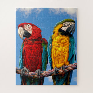 Blauwe en gele ara en een Scarlet ara Legpuzzel