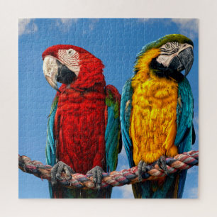 Blauwe en gele ara en een Scarlet ara Legpuzzel