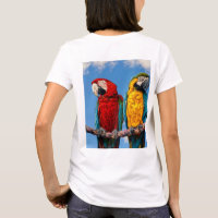 Blauwe en gele ara en een Scarlet ara