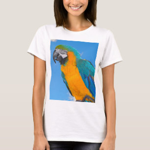 Blauwe en gele ara t-shirt