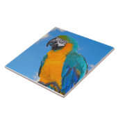 Blauwe en gele ara tegeltje (Zijkant)