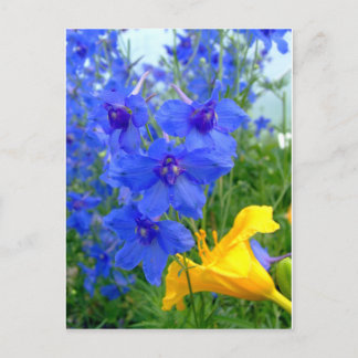 Blauwe en gele bloemen briefkaart