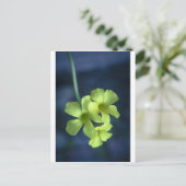 Blauwe en gele bloemen briefkaart (Staand voorkant)