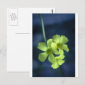 Blauwe en gele bloemen briefkaart (Voorkant / Achterkant)
