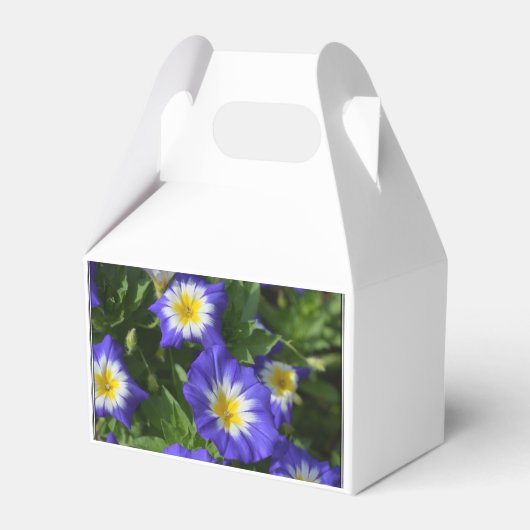 Blauwe en gele bruinbruin bedankdoosjes (Voorkant Zijde)