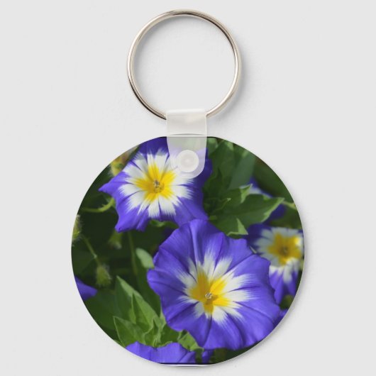 Blauwe en gele bruinbruin sleutelhanger (Voorkant)