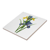 Blauwe en gele iris door Redoute Tegeltje (Zijkant)