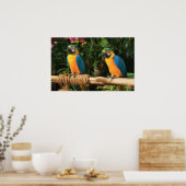 Blauwe en gele Macaw Afdrukken Poster (Keuken)