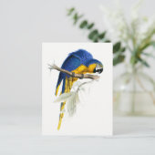  blauwe en gele Macaw Briefkaart (Staand voorkant)