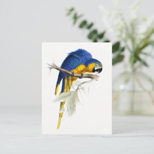 blauwe en gele Macaw Briefkaart (Staand voorkant)