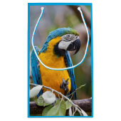 Blauwe en gele Macaw Gift Bag Klein Cadeauzakje (Achterkant)