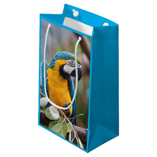 Blauwe en gele Macaw Gift Bag Klein Cadeauzakje (Voorkant Gekanteld)