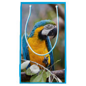 Blauwe en gele Macaw Gift Bag Klein Cadeauzakje (Voorkant)