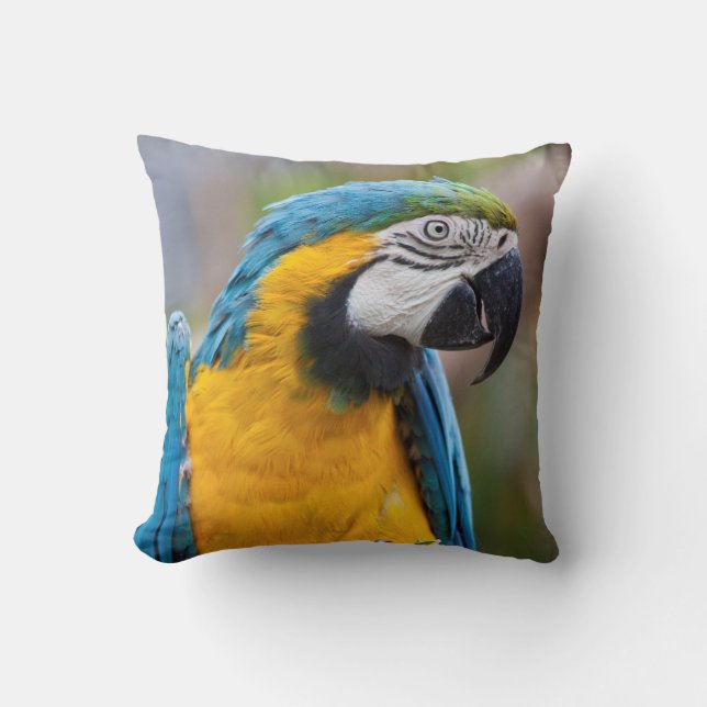 Blauwe en gele Macaw Pillow Kussen (Voorkant)