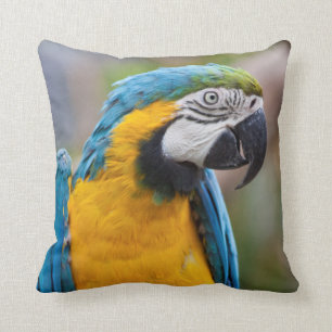 Blauwe en gele Macaw Pillow Kussen