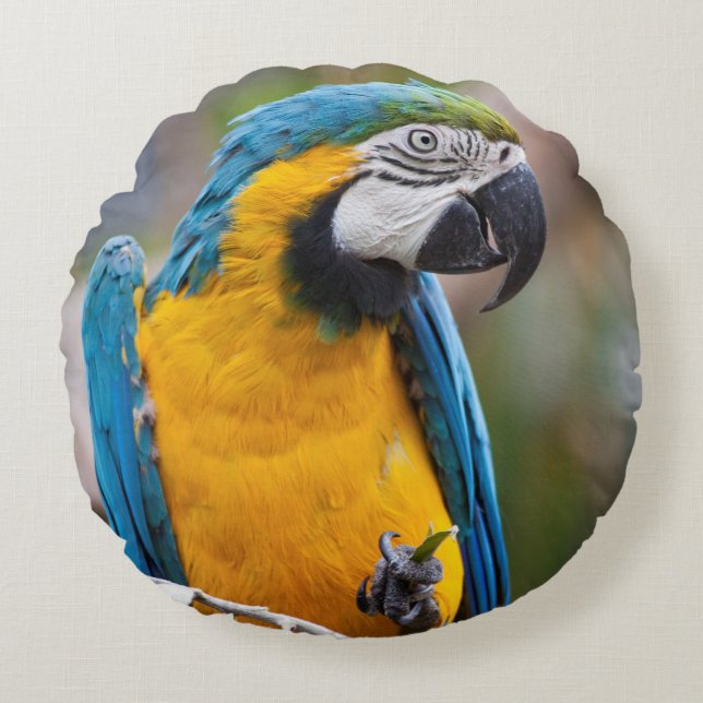 Blauwe en gele Macaw Pillow Rond Kussen (Voorkant)