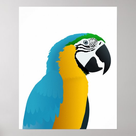 Blauwe en gele Macaw Poster (Voorkant)