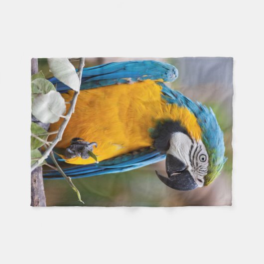 Blauwe en gele Macaw Sherpa Blanket Fleece Deken (Voorkant (Horizontaal))