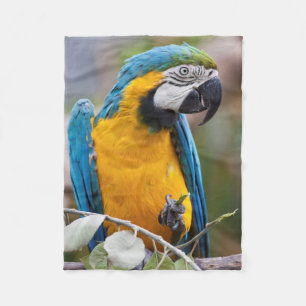 Blauwe en gele Macaw Sherpa Blanket Fleece Deken