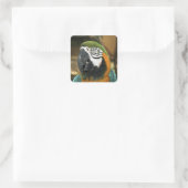 Blauwe en gele Macaw uit Amazon Vierkante Sticker (Tas)