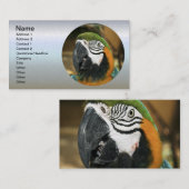 Blauwe en gele Macaw uit Amazon Visitekaartje (Voorkant / Achterkant)