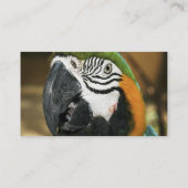 Blauwe en gele Macaw uit Amazon Visitekaartje (Achterkant)