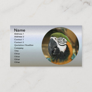 Blauwe en gele Macaw uit Amazon Visitekaartje