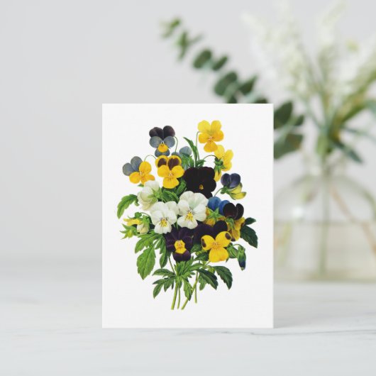 Blauwe en gele pansies van Pierre Joseph Redoute Briefkaart (Staand voorkant)