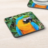 Blauwe en gele papegaai bier onderzetter (Linkerzijde)