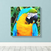 Blauwe en gele papegaai canvas afdruk (Insitu (Houten vloer))