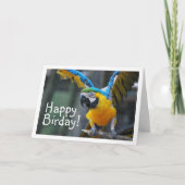 Blauwe en gele papegaai kaart (Voorkant)