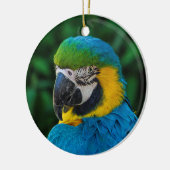 Blauwe en gele papegaai keramisch ornament (Links)
