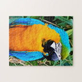 Blauwe en gele papegaai legpuzzel (Horizontaal)