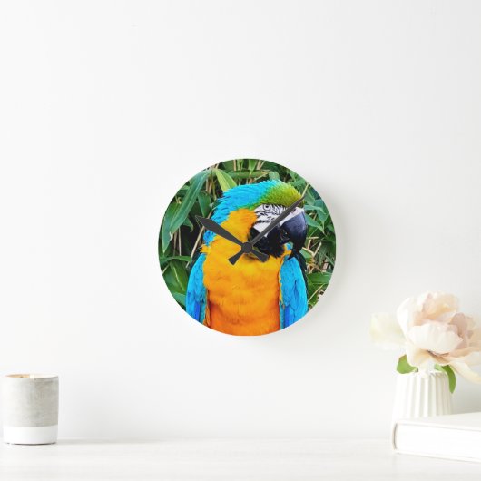 Blauwe en gele papegaai ronde klok (Huis)