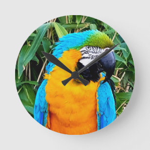 Blauwe en gele papegaai ronde klok
