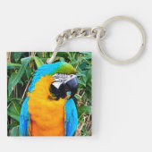 Blauwe en gele papegaai sleutelhanger (Achterkant)