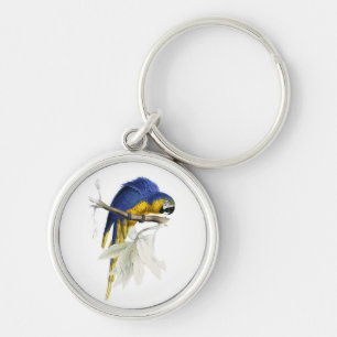  blauwe en gele papegaaipapegaai sleutelhanger