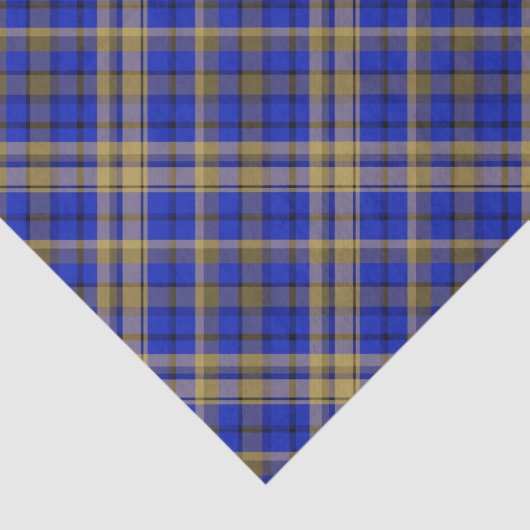 Blauwe en gele tartaanpleister. tissuepapier (Detail)